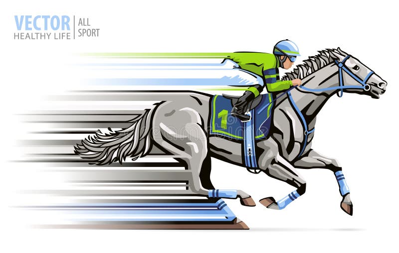 Cavalo, Saltar, Equestre png transparente grátis