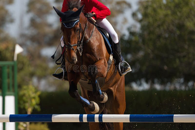 Foto de Cavalo Pulando Obstáculos Piloto Toma As Rédeas Antes Do