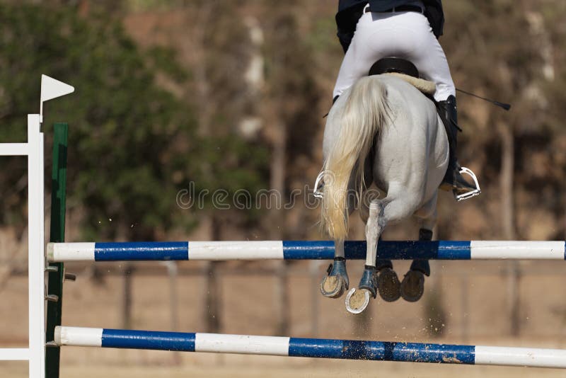 Jockey Com Seu Cavalo Pulando Sobre Um Obstáculo Imagem de Stock