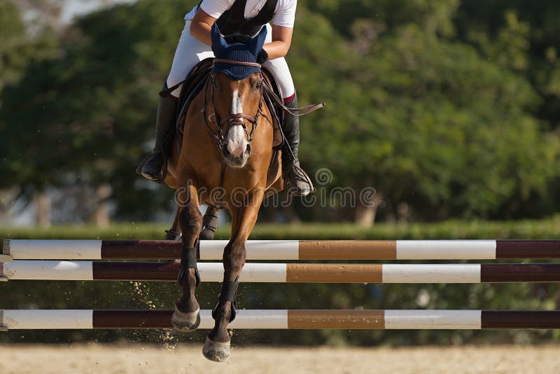 Jovem mostra pulando com cavalo - Fotos de arquivo #14202335