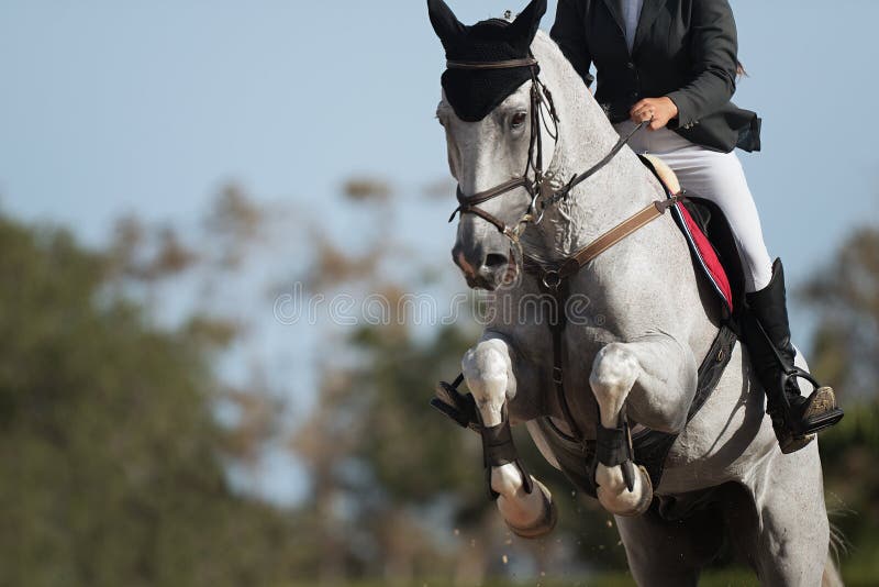 Jockey Com Seu Cavalo Pulando Sobre Um Obstáculo Pulando Sobre O Obstáculo  Na Competição Foto de Stock - Imagem de movimento, equestre: 194863184