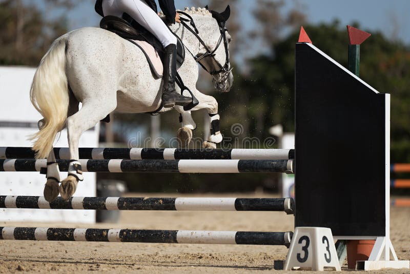 Foto de Cavalo Pulando Obstáculos Piloto Toma As Rédeas Antes Do