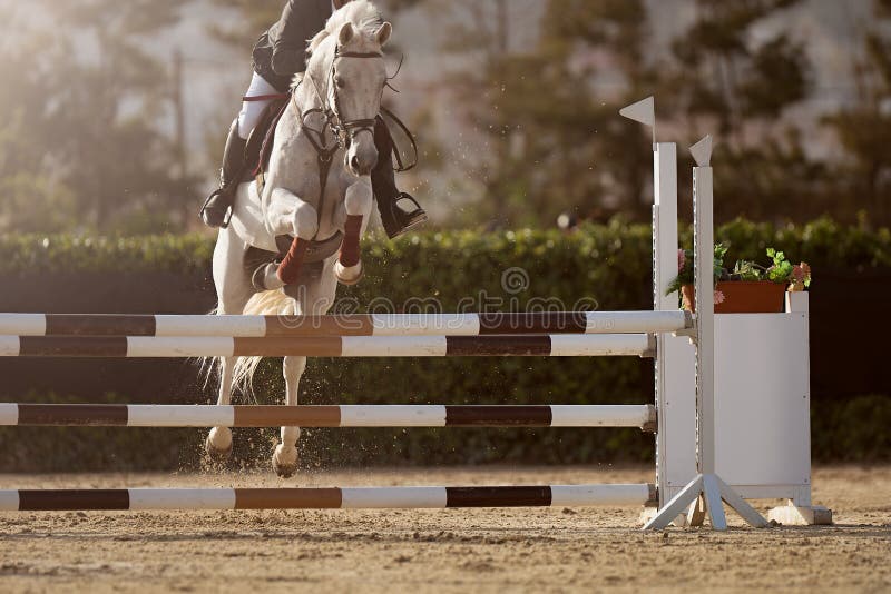 Jockey Com Seu Cavalo Pulando Sobre Um Obstáculo Pulando Sobre O Obstáculo  Na Competição Foto de Stock - Imagem de movimento, equestre: 194863184