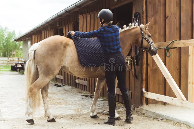 Jóquei Feminino Em Um Cavalo De Baía Escura Pulando Os Obstáculos