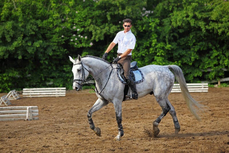 Jockey in Glasses Rides Horse Stock Image Image of glasses, boots