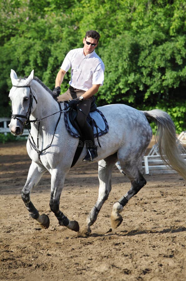 Jockey in Glasses Riding Horse Stock Photo Image of countryside, move
