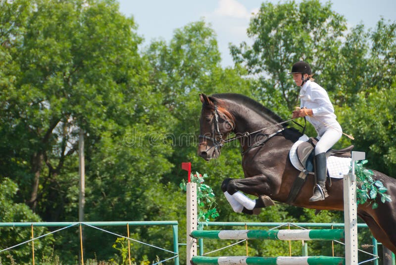 Jockey jumps over a hurdle at the competition