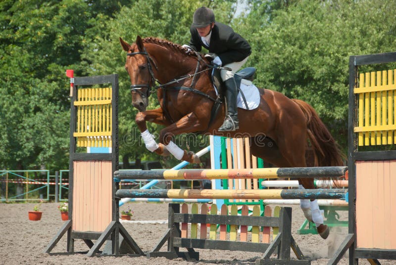 Jockey jumps over a hurdle at the competition. Image has a motion blur