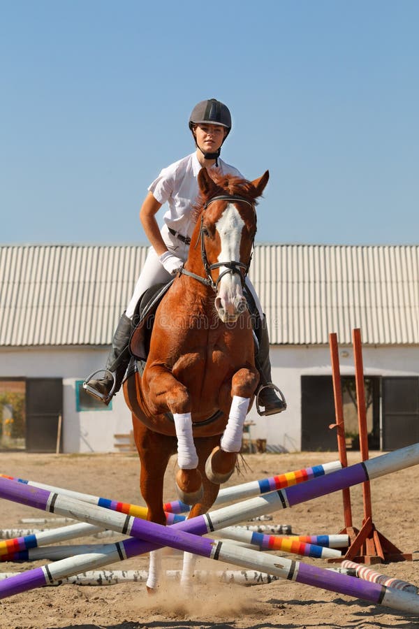 Jockey with purebred horse stock images Jockey with purebred horse stock images