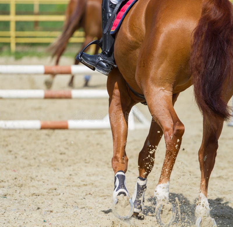 Jockey Riding Boot in the Stirrup Stock Image Image of horseback