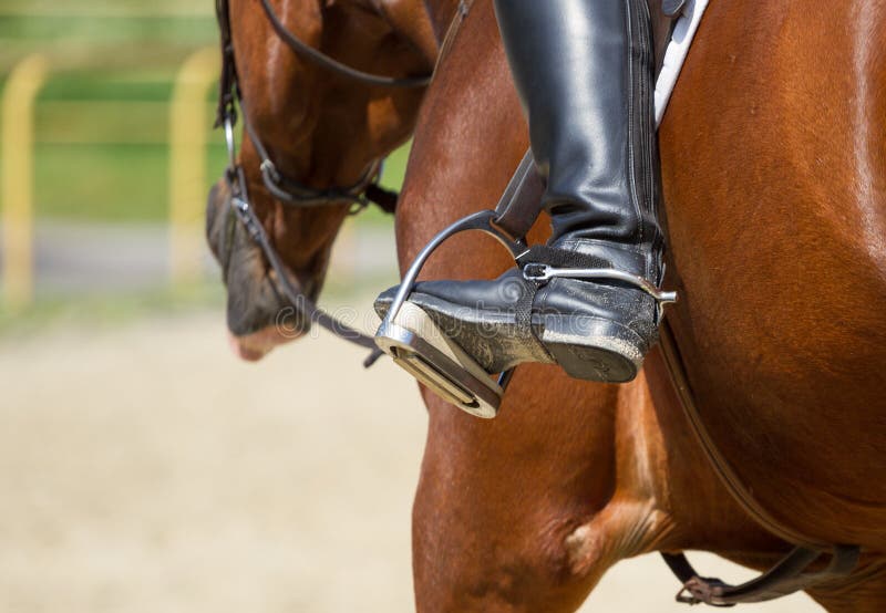 Jockey riding boot stock photo. Image of spurs, horse 84280184