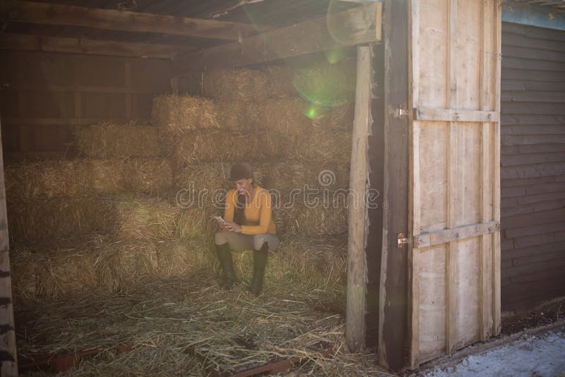 Jockey à l'aide du téléphone en porte vue par écurie image stock Jockey à l'aide du téléphone en porte vue par écurie image stock