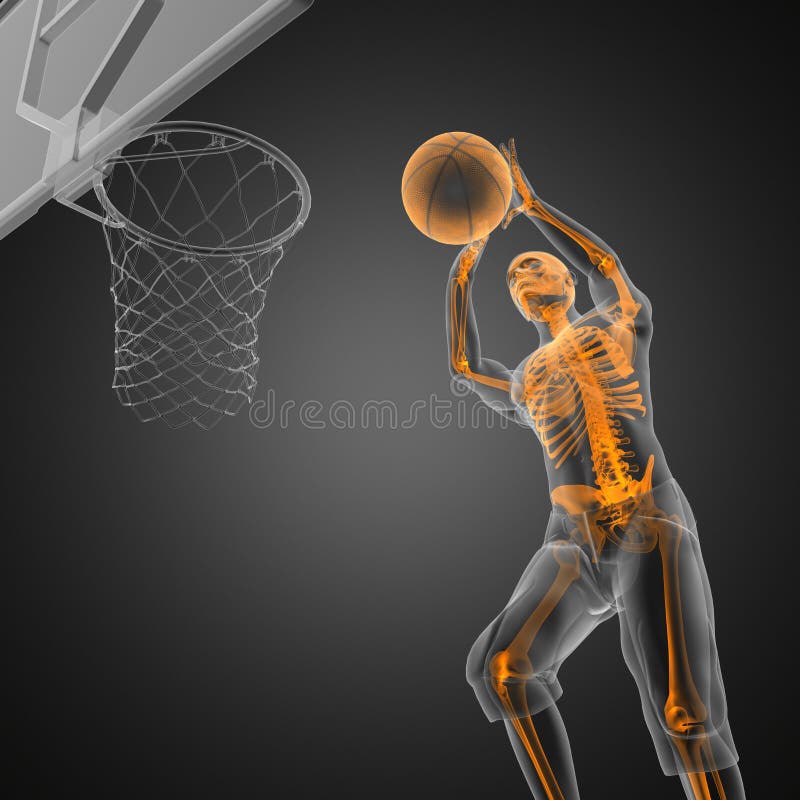 Estatísticas De Jogos De Basquetebol Classificação Vetorial Infográfico.  Mesas De Basquetebol E Resultados De Partidas Esportivas. Ilustração Stock  - Ilustração de vencedor, jogo: 218606802