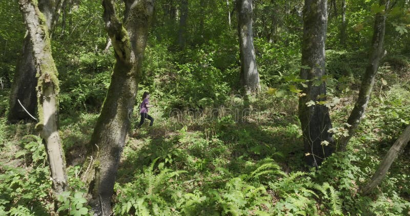 Jogging in the Sunny Forest a Woman in Purple t-shirt and Black Leggins Enjoying Sports Activity a Drone Dolly Shot