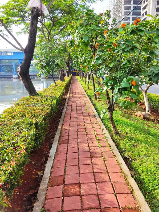 Jogging Track editorial photography. Image of jakarta - 261825342