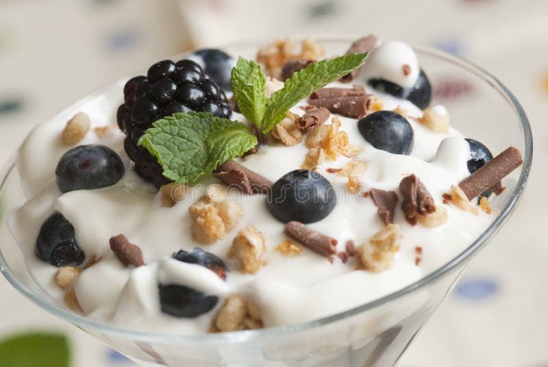 Joghurt Mit Beeren Und Muesli Stockfoto - Bild von frische, milch: 21875650