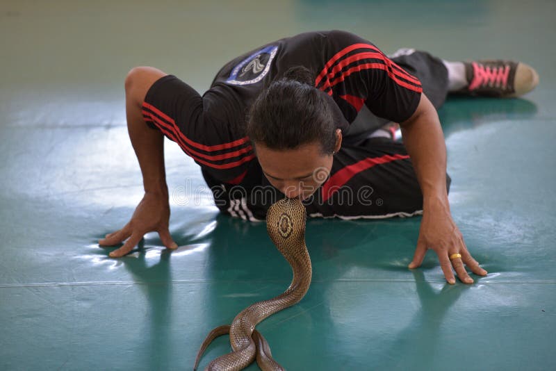 Jogo Do Executor Com Cobra Durante Uma Mostra Em Um Jardim Zoológico Foto  de Stock Editorial - Imagem de animal, pessoa: 96099998