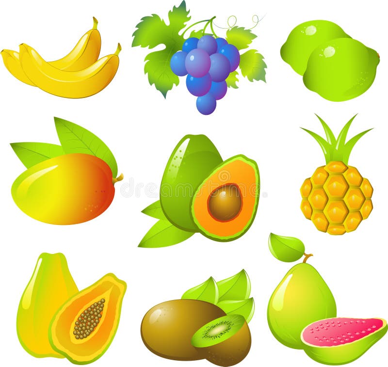 Vector images of beautiful exotic fruits: bananas, grapes, lime, mango, avocado, pineapple, papaya, kiwi and guava! Isolated on white. Eps 8. Vector images of beautiful exotic fruits: bananas, grapes, lime, mango, avocado, pineapple, papaya, kiwi and guava! Isolated on white. Eps 8