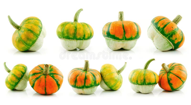 Jogo de Gourds e do híbrido maduros do vegetal da abóbora fotografia de stock royalty free Jogo de Gourds e do híbrido maduros do vegetal da abóbora fotografia de stock royalty free