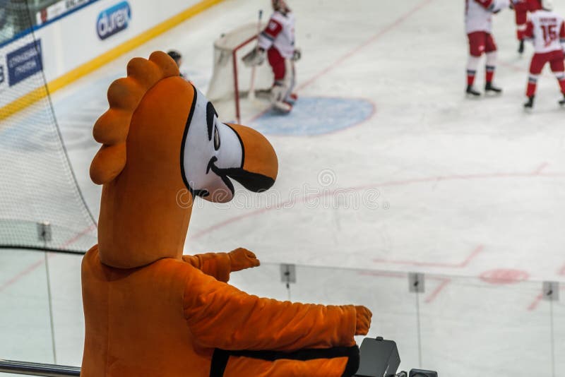 Jogo de observa??o da mascote do h?quei em gelo foto de stock Jogo de observa??o da mascote do h?quei em gelo foto de stock