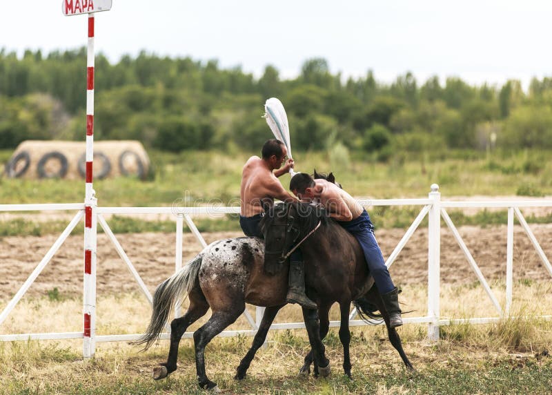 Jogo Do Cavalo No Lago Kul Da Música Em Quirguizistão Foto Editorial -  Imagem de campo, hélice: 59175586