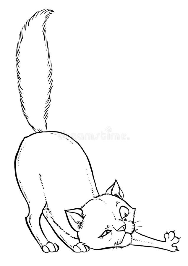 ícone Do Vetor De Gato Gatinho Calico Animal Raça Cabeça Desenho Animado Coração Polvo Estrela Lula Poodle Símbolo Ilustração Dese Ilustração do Vetor - Ilustração de urso, fofofo: 218550159