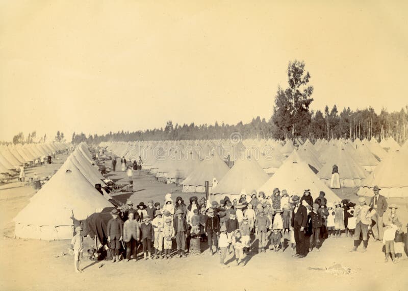 Johannesburg Camp, C.1901. Picture Image 222292764