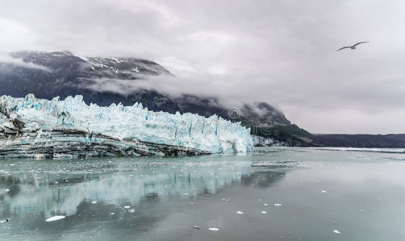 John Hopkins Glacier. Glacier Bay National Park stock image John Hopkins Glacier. Glacier Bay National Park stock image