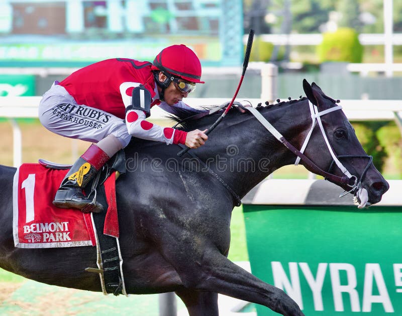 Midnight Bisou -Beldame Stakes, winning easily with jockey Johnny Velasquez, as he races towards the finish line at beautiful Belmont Park.
Fleetphoto. Midnight Bisou -Beldame Stakes, winning easily with jockey Johnny Velasquez, as he races towards the finish line at beautiful Belmont Park.
Fleetphoto