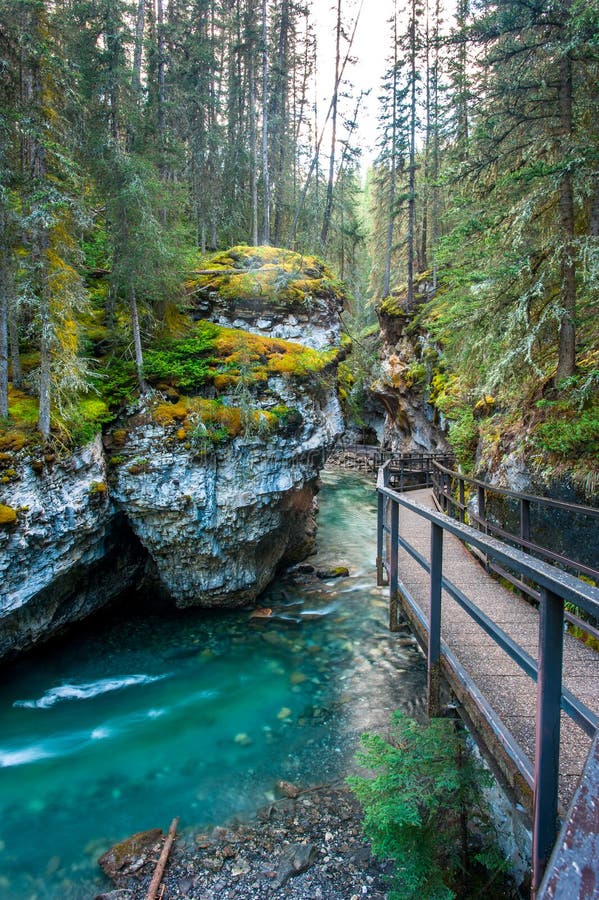 Johnston Canyon, Banff National Park Stock Image Image of holidays