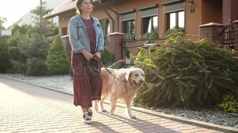 Jolie Femme Marchant Avec Un Chien D'Or Retriever Sur Une laisse clips vidéos