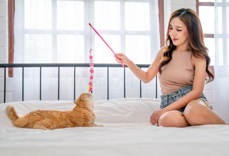 Jolie Femme Utiliser Des Accessoires Ou Un Jouet Pour Jouer Avec Le Chat Et  S'asseoir Sur Le Lit Dans La Chambre Ils Ont L'air Heu Image stock - Image  du mignon, animal