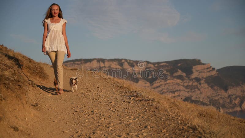 Jolie jeune femme marchant en montagne pieds nus avec deux chiens chihuahua suivant pendant les vacances de coucher de soleil en