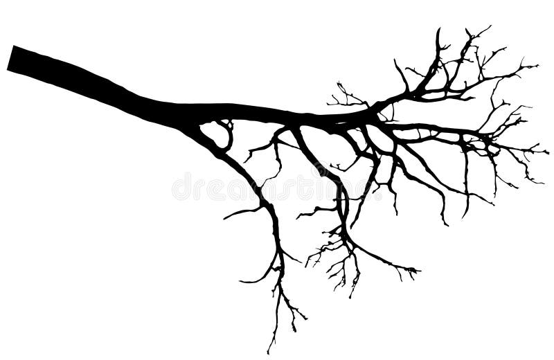 Jolie silhouette nue d'arbre de branche, illustration de vecteur