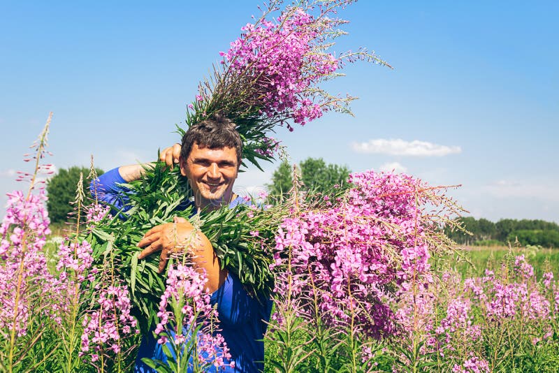 Jolly and a happy young man holding an armful of wildflowers willower ivan tea on a background of a blooming meadow. royalty free stock photo Jolly and a happy young man holding an armful of wildflowers willower ivan tea on a background of a blooming meadow. royalty free stock photo