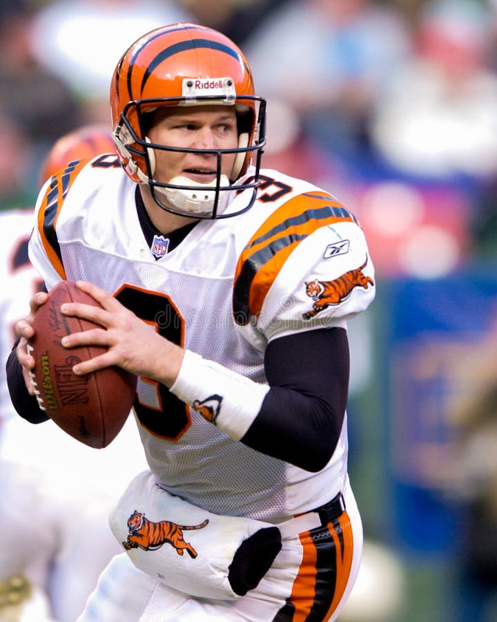 Jon Kitna editorial photo. Image of league, taking, slide - 73685651