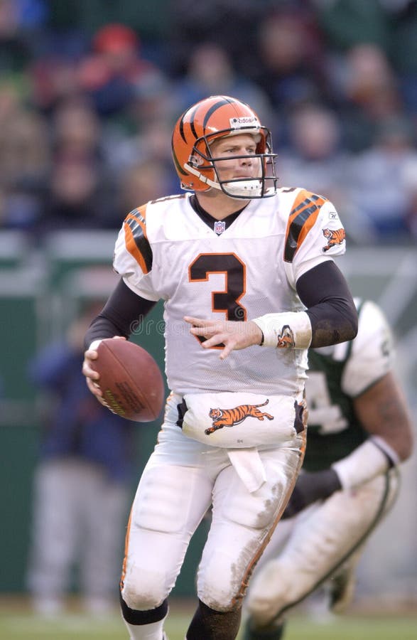 Jon Kitna editorial stock image. Image of wide, slide - 173652644