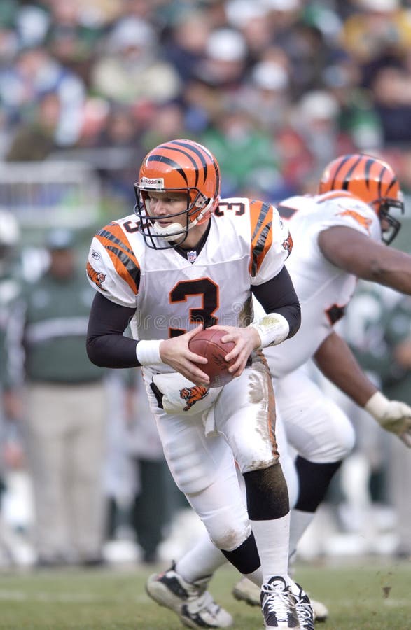 Jon Kitna editorial stock photo. Image of bengals, national - 73685683