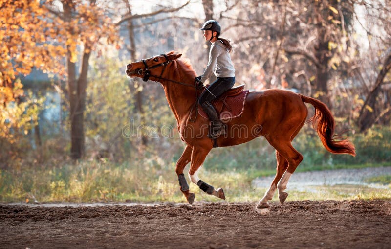 Jong meisje dat een paard berijdt stock afbeeldingen Jong meisje dat een paard berijdt stock afbeeldingen