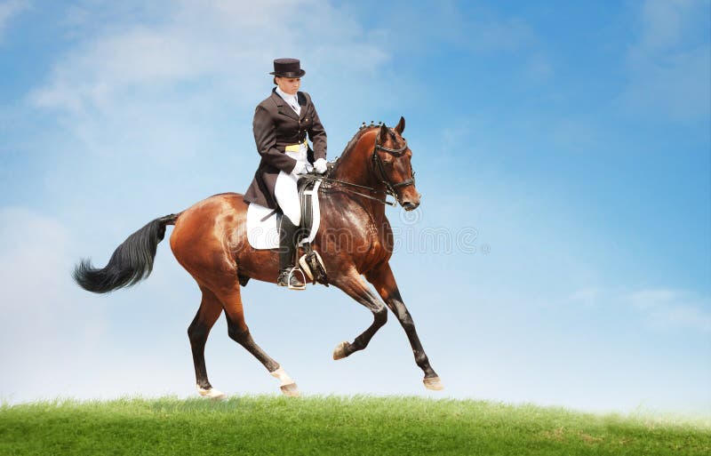 Young woman riding horse on the top of the hill. Equestrian sport - dressage. Young woman riding horse on the top of the hill. Equestrian sport - dressage.