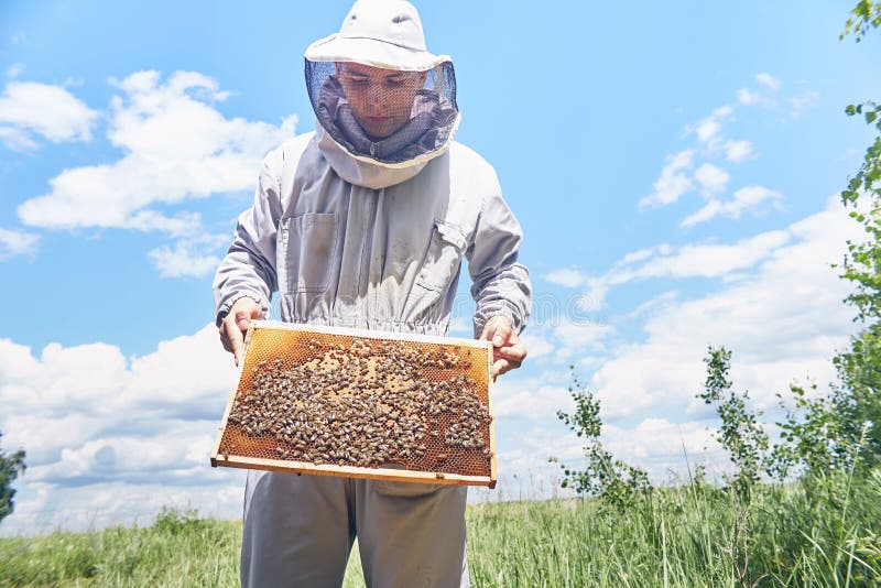 Jonge Apiarist Holding Hive Frame royalty-vrije stock afbeeldingen Jonge Apiarist Holding Hive Frame royalty-vrije stock afbeeldingen