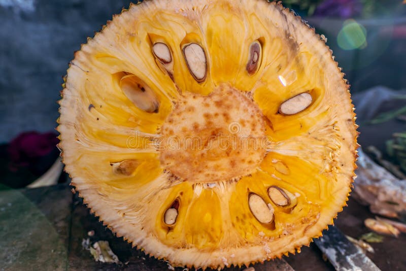 Jonge jackfruit op een lokale Balinese natuurvoedingmarkt Het eiland van Bali stock afbeelding Jonge jackfruit op een lokale Balinese natuurvoedingmarkt Het eiland van Bali stock afbeelding