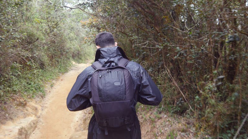 Jonge mens in regenjas die op houten sleep tijdens reis gaan De wandelingskerel met rugzak die in tropisch nat bos lopen volgt stock foto Jonge mens in regenjas die op houten sleep tijdens reis gaan De wandelingskerel met rugzak die in tropisch nat bos lopen volgt stock foto
