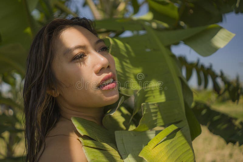 Jonge, mooie en gelukkige Aziatische Indonesische vrouw in bikini die zich tussen bladeren van bananenbomen vormt en die natuurli stock foto's Jonge, mooie en gelukkige Aziatische Indonesische vrouw in bikini die zich tussen bladeren van bananenbomen vormt en die natuurli stock foto's
