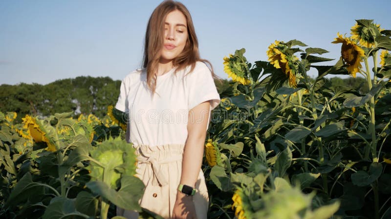 Jonge mooie vrouwelijke agronomist maakt haar weg door het veld zonnebloemen