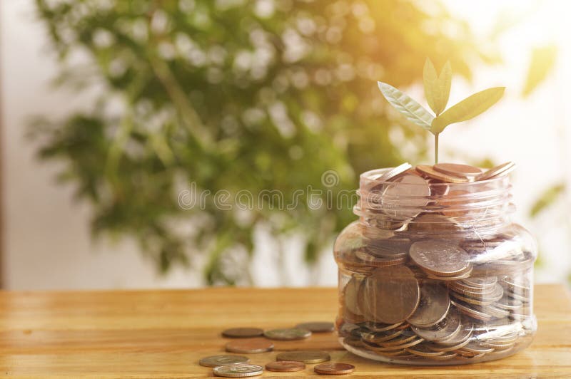 Jonge plant het groeien op kruik van geldmuntstukken op houten lijst, concept zoals sparen, de groei, plan, financiën, rekening, royalty-vrije stock fotografie Jonge plant het groeien op kruik van geldmuntstukken op houten lijst, concept zoals sparen, de groei, plan, financiën, rekening, royalty-vrije stock fotografie
