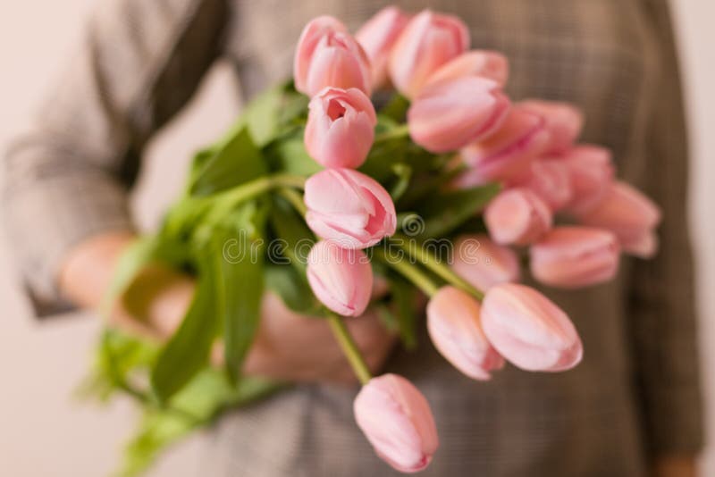 Jonge vrouw die een mooie bos van tulpen in haar handen houden De lente huidig voor een meisje in een grijze kleding Het boeket v royalty-vrije stock foto Jonge vrouw die een mooie bos van tulpen in haar handen houden De lente huidig voor een meisje in een grijze kleding Het boeket v royalty-vrije stock foto