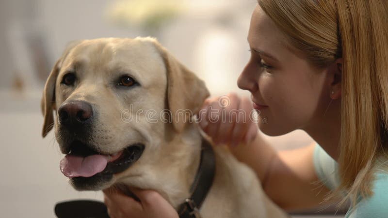 Jonge vrouw die hond omhelst, emotionele gezelschapsverbinding, gelukkige labrador eigenaar, liefde