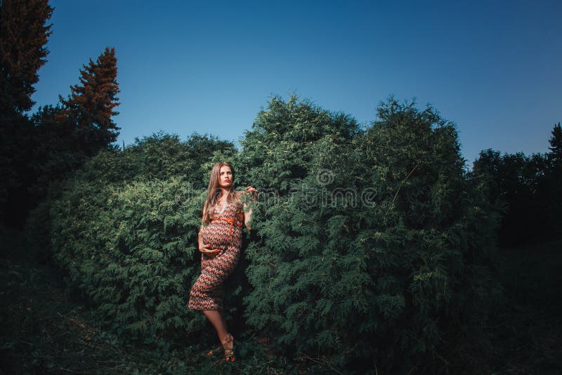 Jonge zwangere vrouw in het park in openlucht Kalme zwangere vrouw in derde trimester Het lopen in openbare tuin Bomen binnen royalty-vrije stock fotografie Jonge zwangere vrouw in het park in openlucht Kalme zwangere vrouw in derde trimester Het lopen in openbare tuin Bomen binnen royalty-vrije stock fotografie