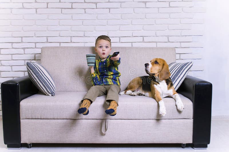 Funny boy with remote control watching TV with dog Beagle on the couch. Funny boy with remote control watching TV with dog Beagle on the couch